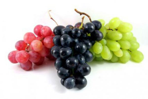 grape0522A8A2-9F0B-4B7F-10F5-461C5CE15AEC.jpg