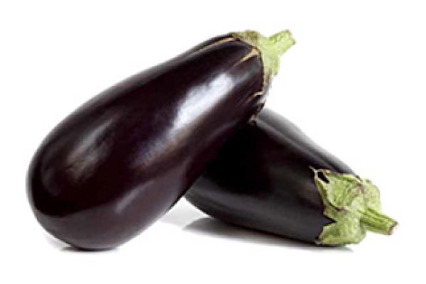eggplant380DCE90-AF2A-7143-2C13-1DDA4680C956.jpg