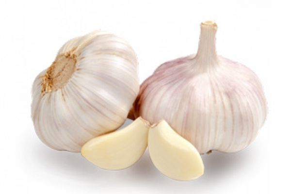 garlic82686CFF-0455-91B5-5560-8463DC38A9DE.jpg