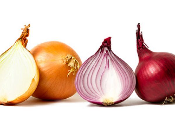 onion56684999-6932-C63E-540E-31EC2E38C708.jpg