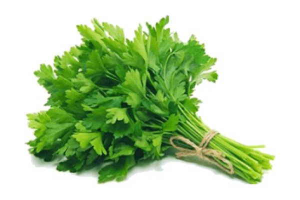 parsley8B76E36A-5C3D-F3FC-F3A3-ACDCB48E86C9.jpg