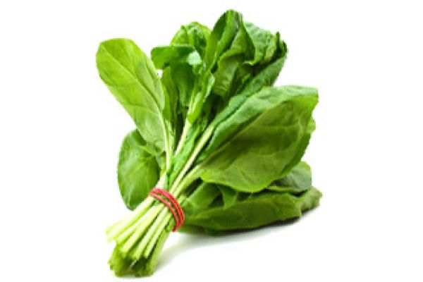 spinachABEF5264-DAA0-1771-F38F-0B446D2AEE4C.jpg