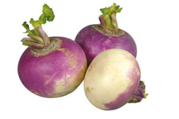 turnips15D72218-12F6-360F-CAF4-946EB9F0D9FA.jpg