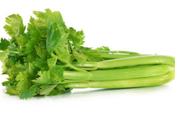 celery852DAB7F-48EB-EC1B-58E9-163A07EC4DB4.jpg