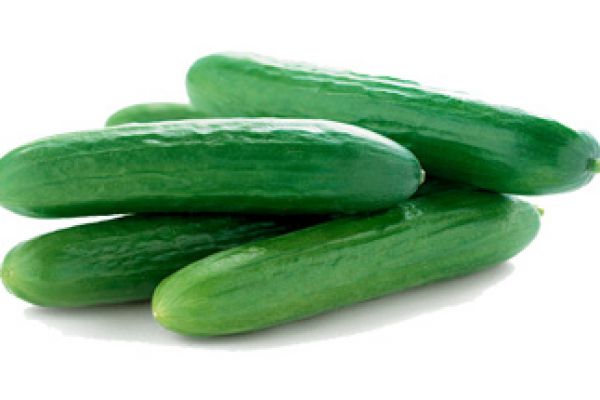 cucumber1BA8BEE5-F347-7EE4-6927-73CE10407BC0.jpg