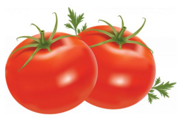 tomato4442926D-1BA6-3CF2-54E4-20A0740E0DD0.jpg